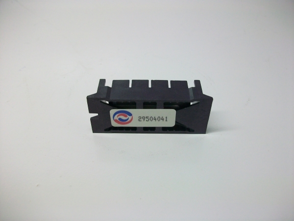 29504041